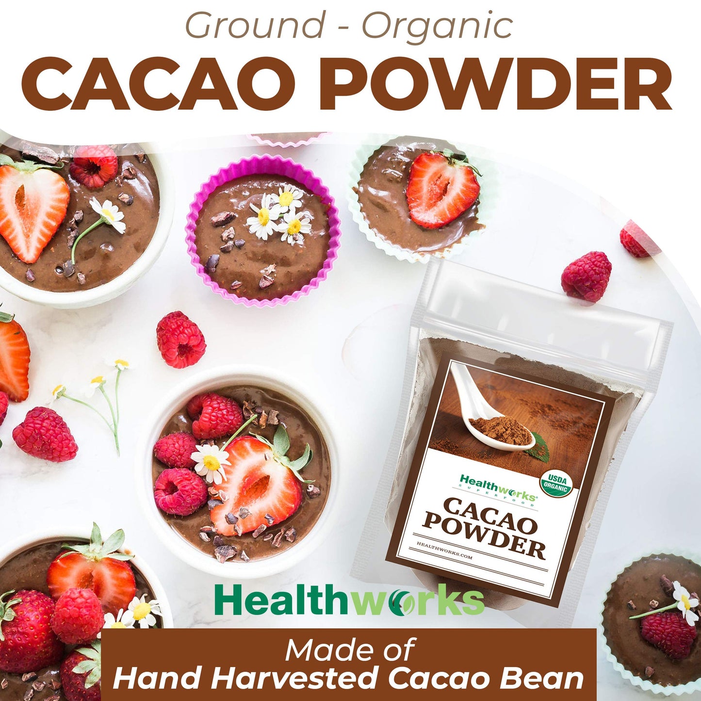 Healthworks Superfoods Organic Cacao Powder - 48 Oz / 3 Lbs - Cocoa Chocolate Substitute - Rich Chocolate Flavour - Sugar-Free, Keto, Vegan & Non-GMO - Peruvian Bean/Nut Origin - Antioxidant Superfood