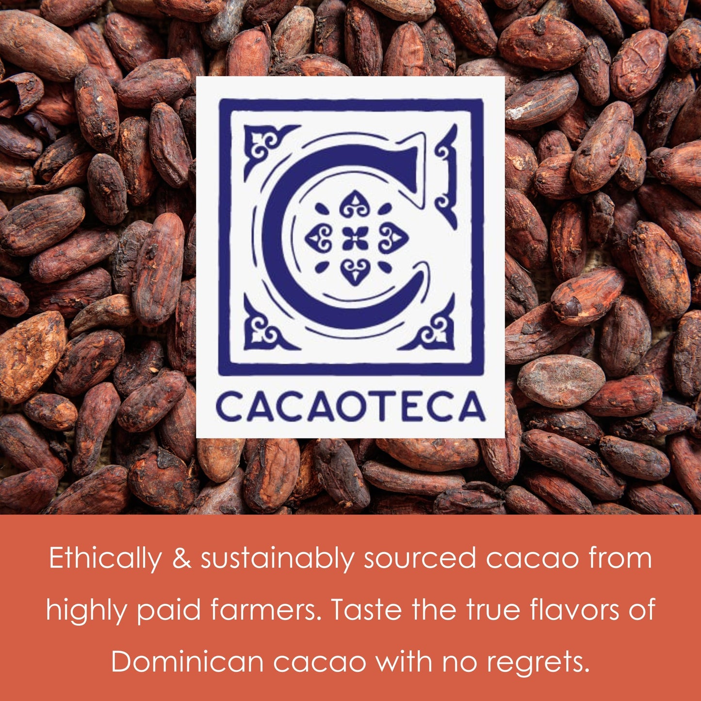 Cacaoteca 51 Milk Chocolate 3 Pack - Dominican Chocolate - Bean-to-Bar, Direct Sourced - Gluten-Free - Bundle