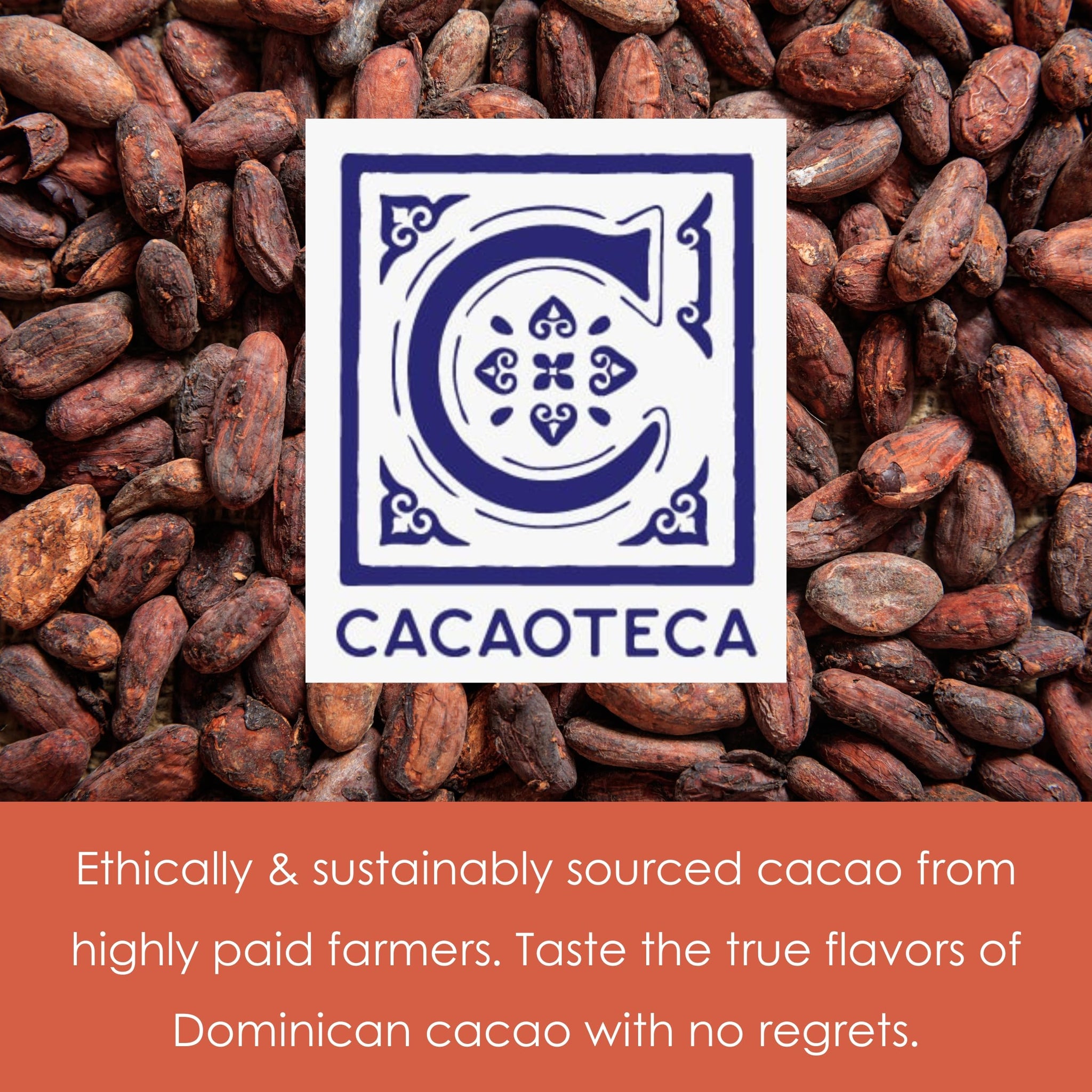 Cacaoteca 51 Milk Chocolate 3 Pack - Dominican Chocolate - Bean-to-Bar, Direct Sourced - Gluten-Free - Bundle