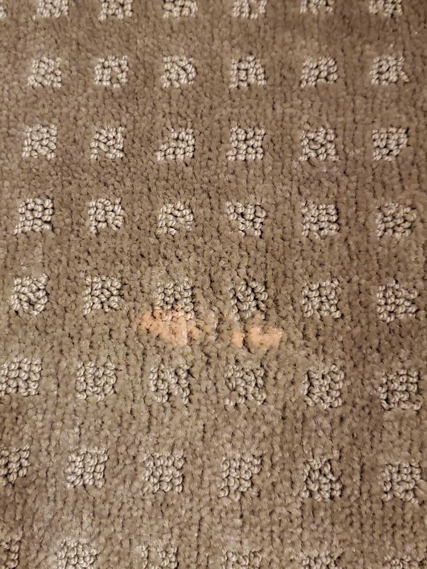 Bleachstain® Precision Carpet Spot Dye Kit | Bleach Stain Repair Kit | for Spots and Drips Smaller Than Pea Size | for Medium Beige, Gray, tan