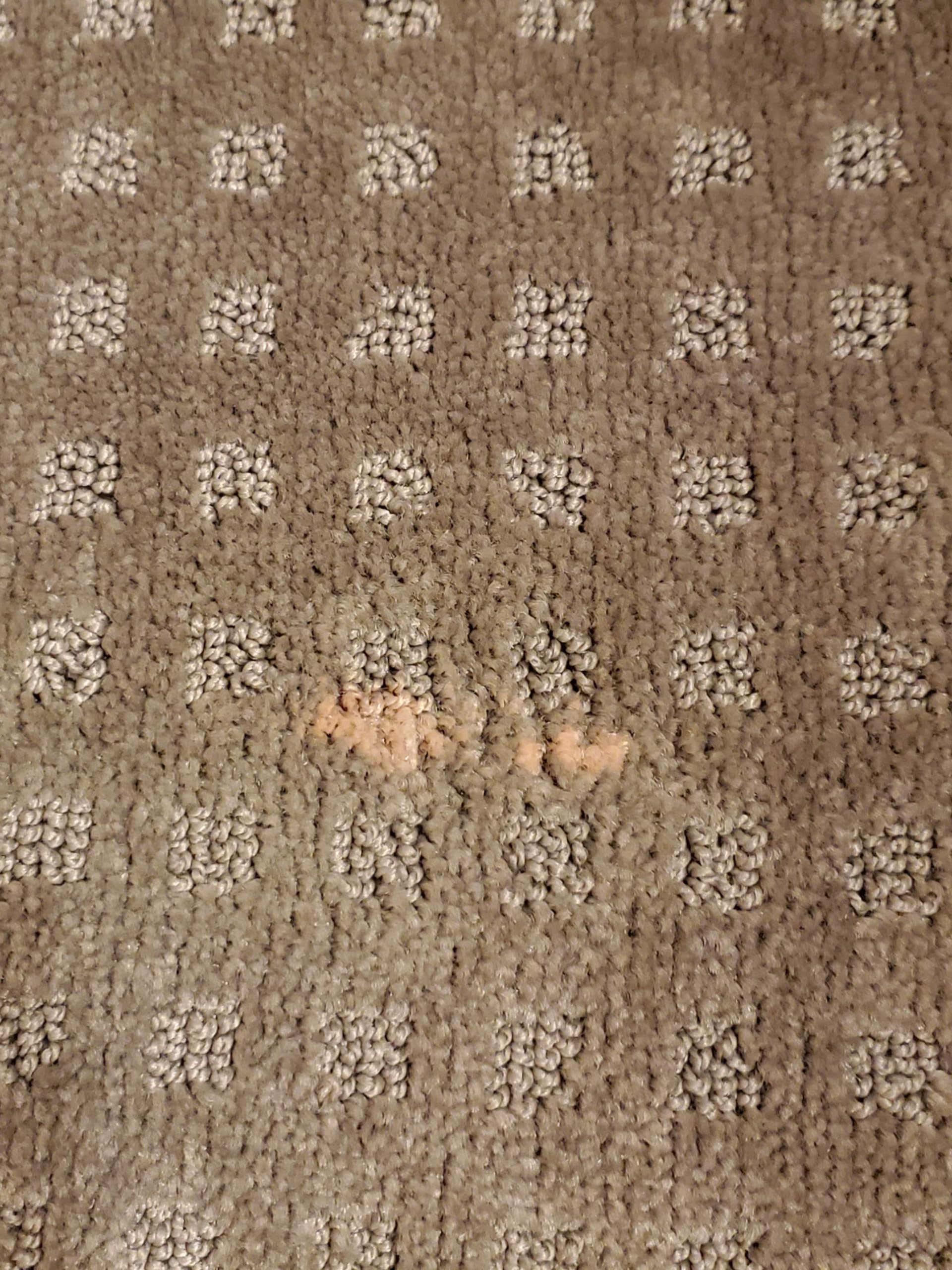 Bleachstain® Precision Carpet Spot Dye Kit | Bleach Stain Repair Kit | for Spots and Drips Smaller Than Pea Size | for Medium Beige, Gray, tan