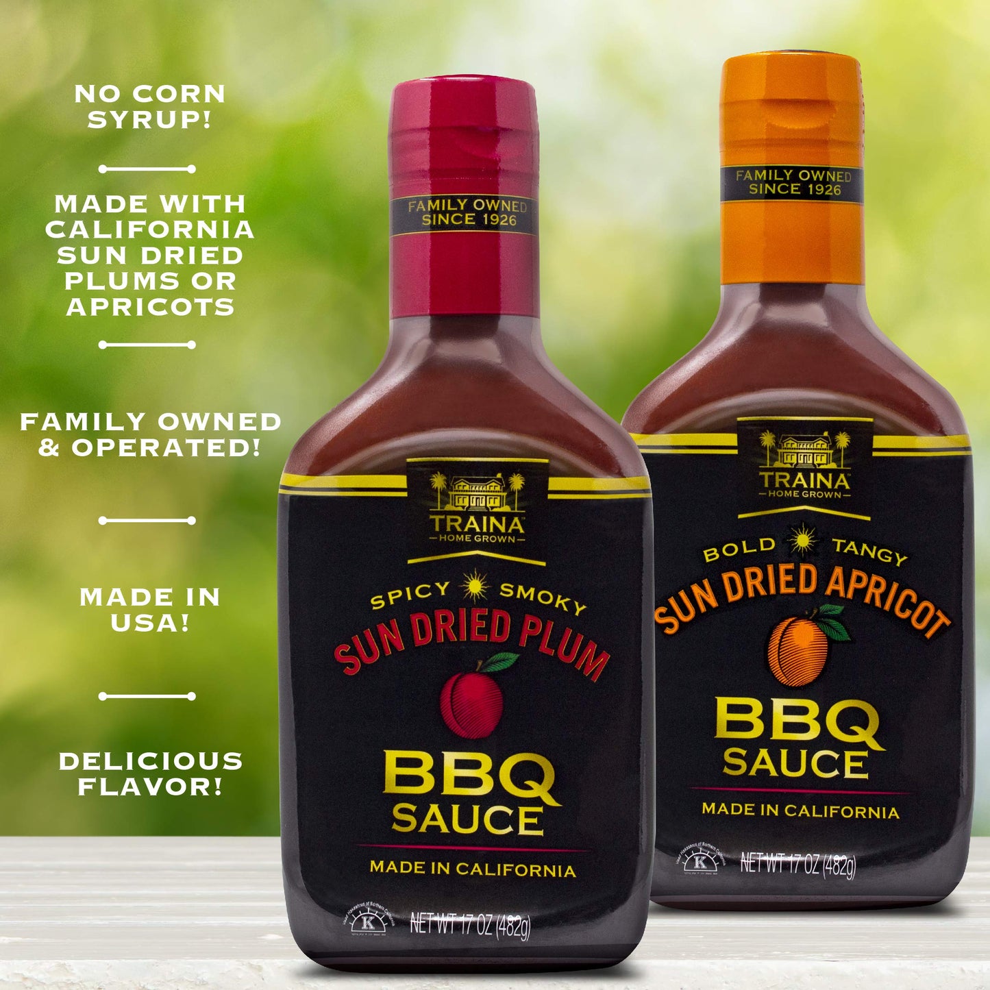 Traina Home Grown California Sun Dried Apricot and Plum Barbecue Sauce - No Corn Syrup, Bold Flavor, Packed in 17 Ounce Bottle (Pack of 2)