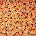 Gummy Pumpkin Candy-Fancy Jelly Candy Pumpkin Shaped Gummies by Queen City Candy Cave (2 Pound)