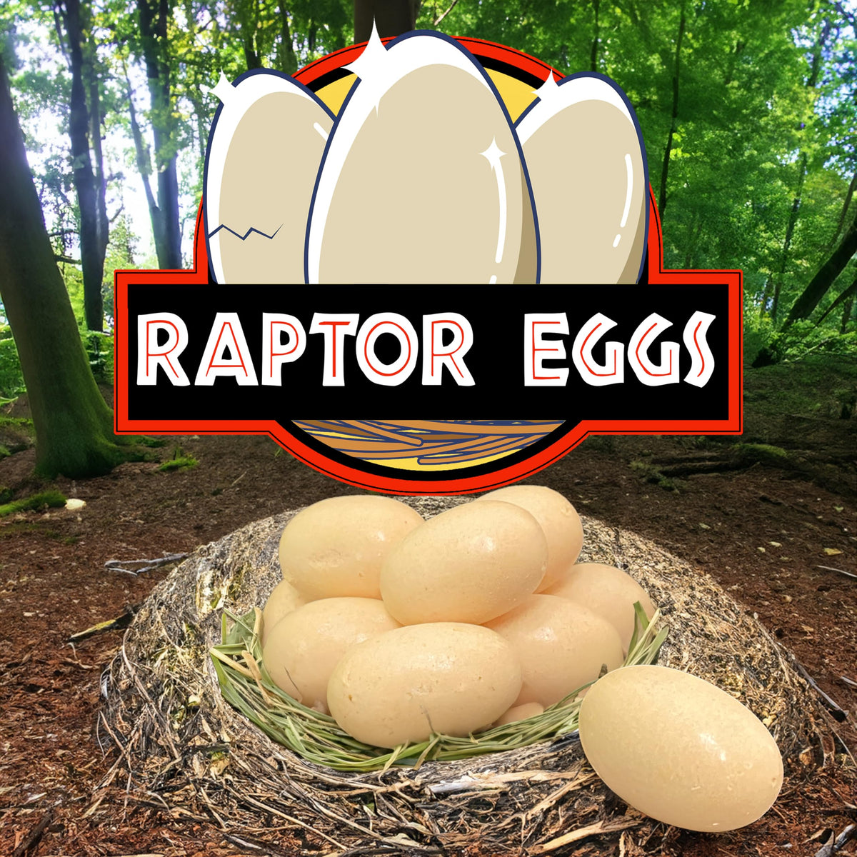 Crazy Nate's Raptor Eggs - Freeze-Dried Bit-O-Honey Candy | Unique Honey and Almond Crunch | Gourmet Freeze-Dried Treats (3 PACK)