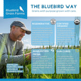 Bluebird Grain Farms Organic Whole Grain Einkorn, 1 Lb.