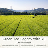 Yu Tea Decaf Organic Sencha Green Tea Powder, 30 Instant Packets | Rich in Antioxidants, EGCG, & L-Theanine | Pure Japanese First Harvest Leaf |