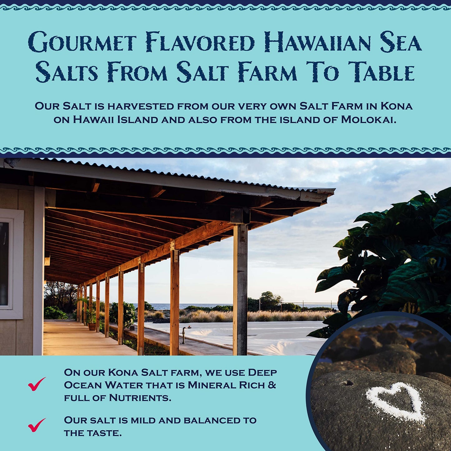 Sea Salts of Hawaii Variety 3 Pack, Maui Onion Salt, Hawaiian Chili Pepper Salt, Spicy Seaweed Flavored Hawaiian Sea Salt