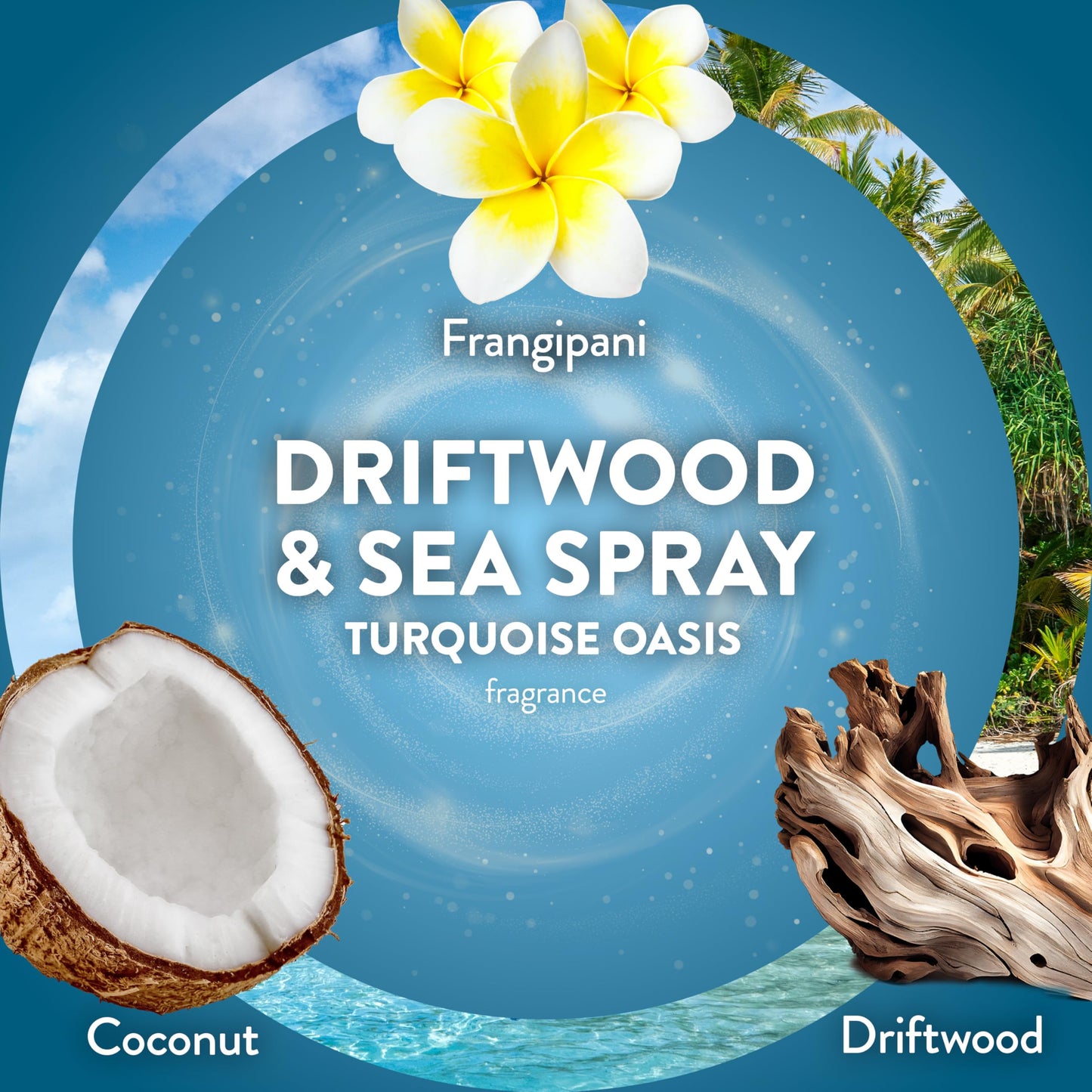 Air Wick Scented Oils 0+4 Driftwood & Sea Spray