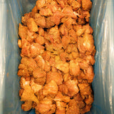 Bearded Butchers Pumpkin Seasoning 2.19lb - Perfect for Pumpkin Cranberry Bratwurst - Seasons 25 lbs of Meat - Made with Real Pumpkin & Maple Sugar