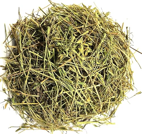 Anise Herbal Infusion Tea Anis Value Pack (90g) herb 100% Natural Dried Herb