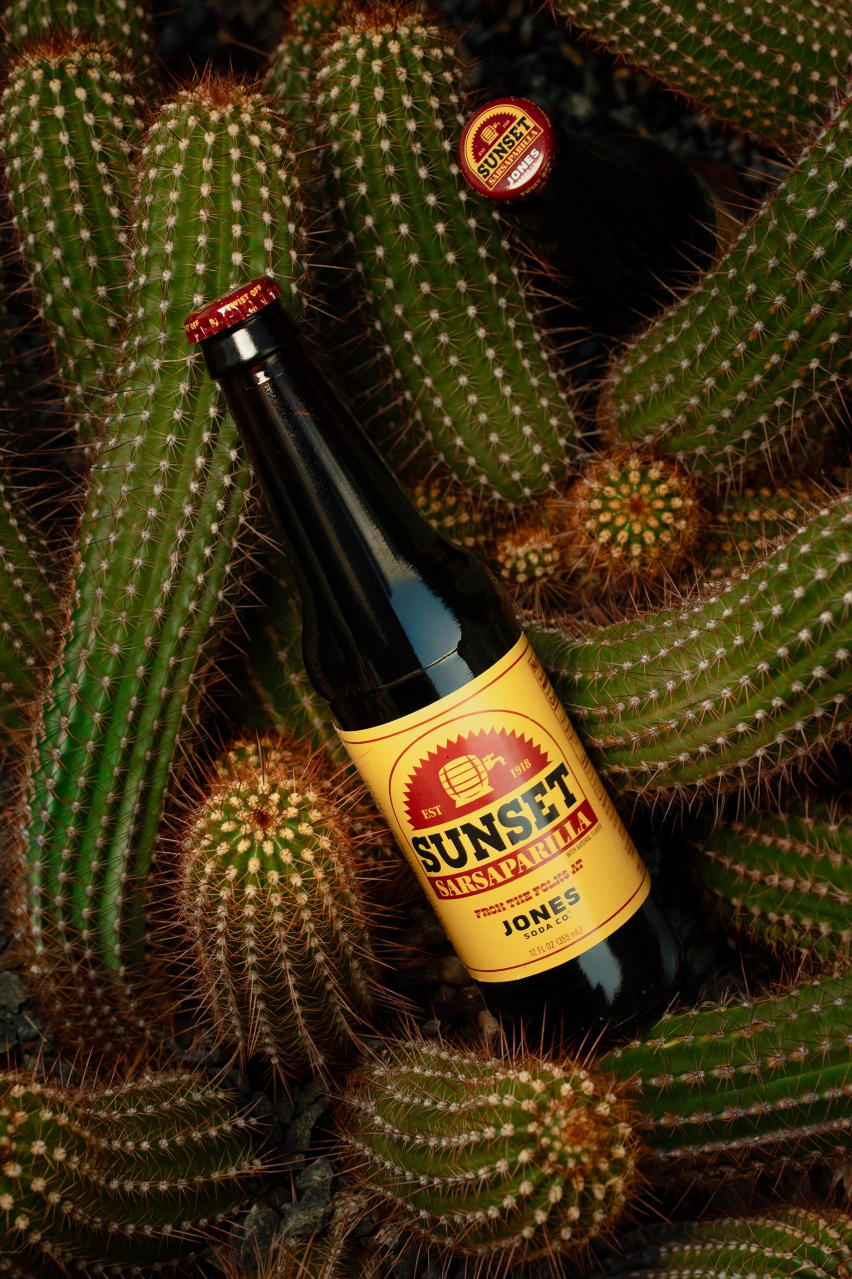 Fallout Sunset Sarsaparilla 12oz Jones Soda | 4 Pack