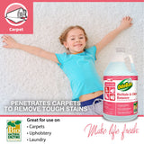 OdoBan Professional Cleaning and Odor Control Solutions, Ready-to-Use Biostain and Odor Remover, Made in the USA, 2 Gallons