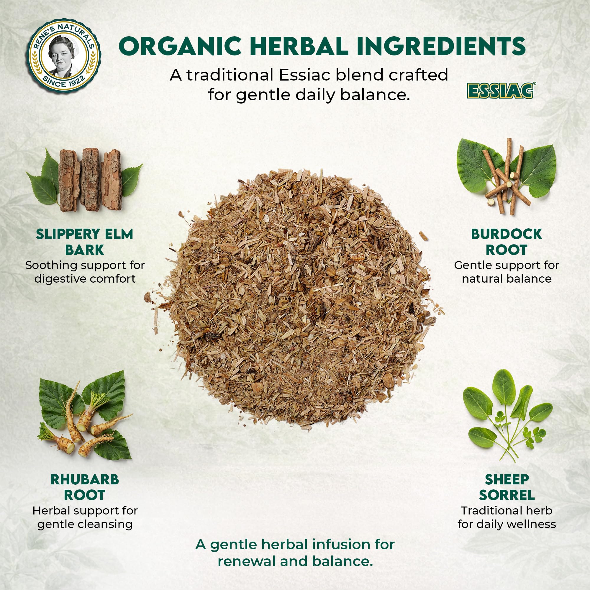 Rene’s Naturals Essiac Tea Bags - USDA Organic - Original 4-Herb Formula Since 1922 -, Non-GMO, Vegan - 32 Teabags - Gentle Daily Cleansing