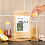 Pine needle tea, wild-foraged in the USA, picked from northern white pines | Protects against infection, strengthens immunity, high in antioxidants