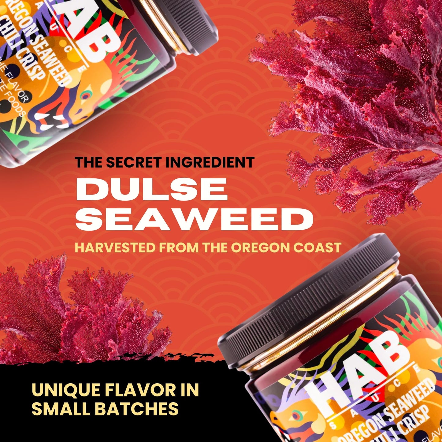 HAB Sauce Oregon Seaweed Chili Crisp - Small Batch Gourmet Hot Sauce with Umami & Spice | Made with Natural Ingredients | Vegan & Gluten Free |