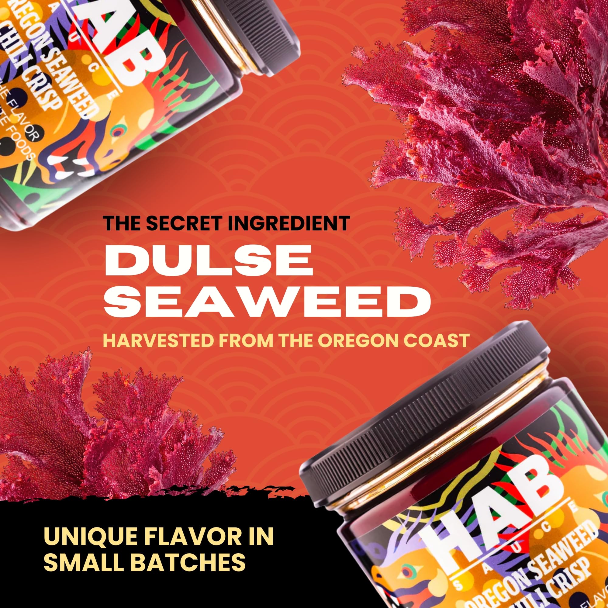 HAB Sauce Oregon Seaweed Chili Crisp - Small Batch Gourmet Hot Sauce with Umami & Spice | Made with Natural Ingredients | Vegan & Gluten Free |