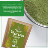 Jiva Organics Wheatgrass Juice Powder 12 Ounce Bulk Kraft Bag - from Whole Leaf - Rich in Fibers and Minerals, Non-GMO and Vegan