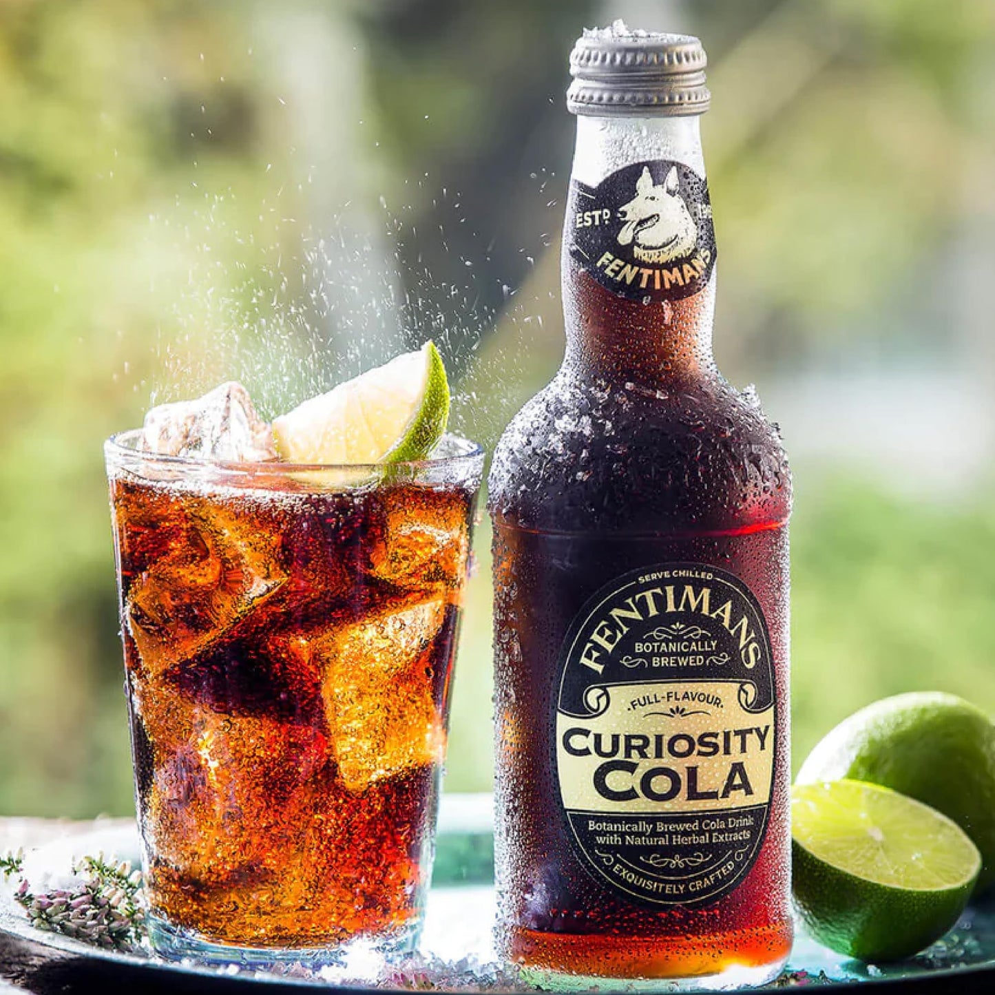 Fentimans Sparkling Curiosity Cola - Healthy Soda, All Natural Soda, Craft Soda with No Artificial Flavors, Preservatives, or Sweeteners, Botanically
