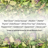 Breathe Herbal Tea | Sacred Blossom Farm | 1.9 oz. Loose Leaf | Sinus and Allergy Relief* | Organically Grown in Wisconsin | Herbal Tea & Medicinal