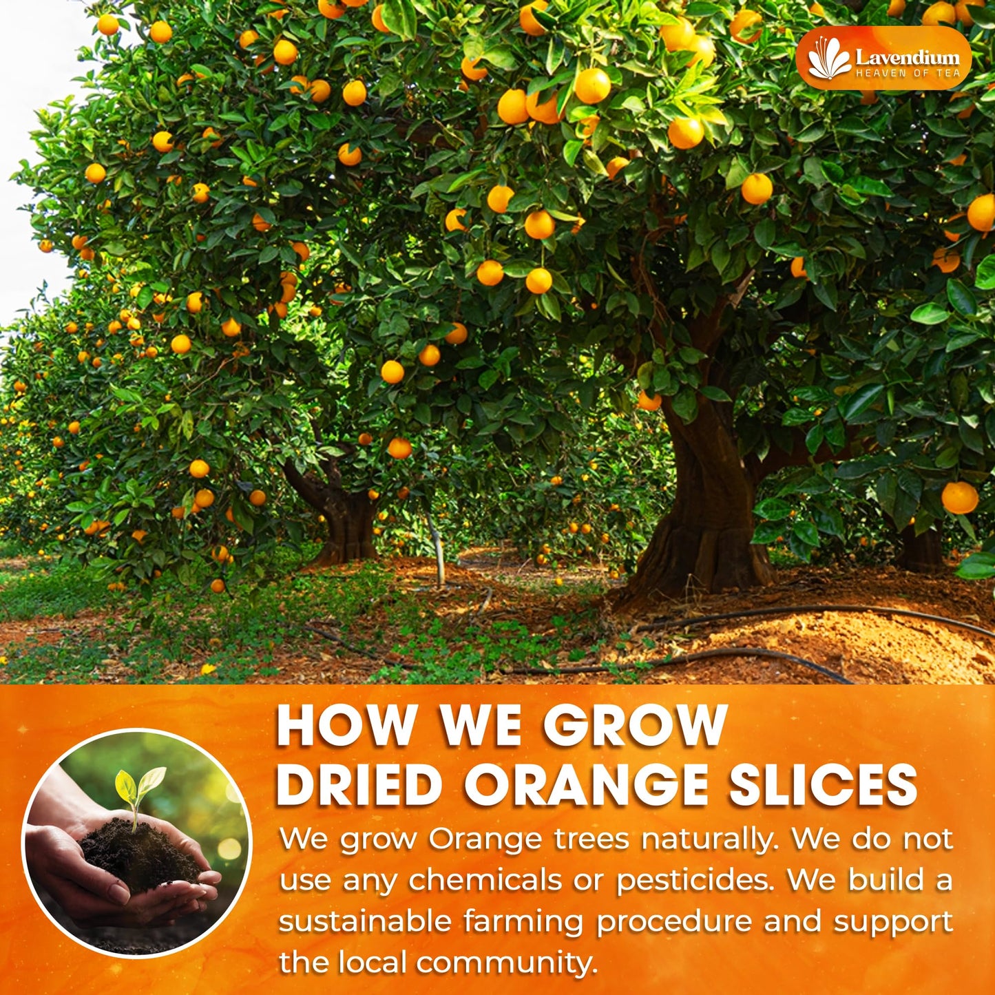 Lavendium, Premium 4oz Dried Orange Slices, 100% Natural & Pure, No Additives or Preservatives, Non-GMO, Plant-Based & Vegan, Perfect for Tea