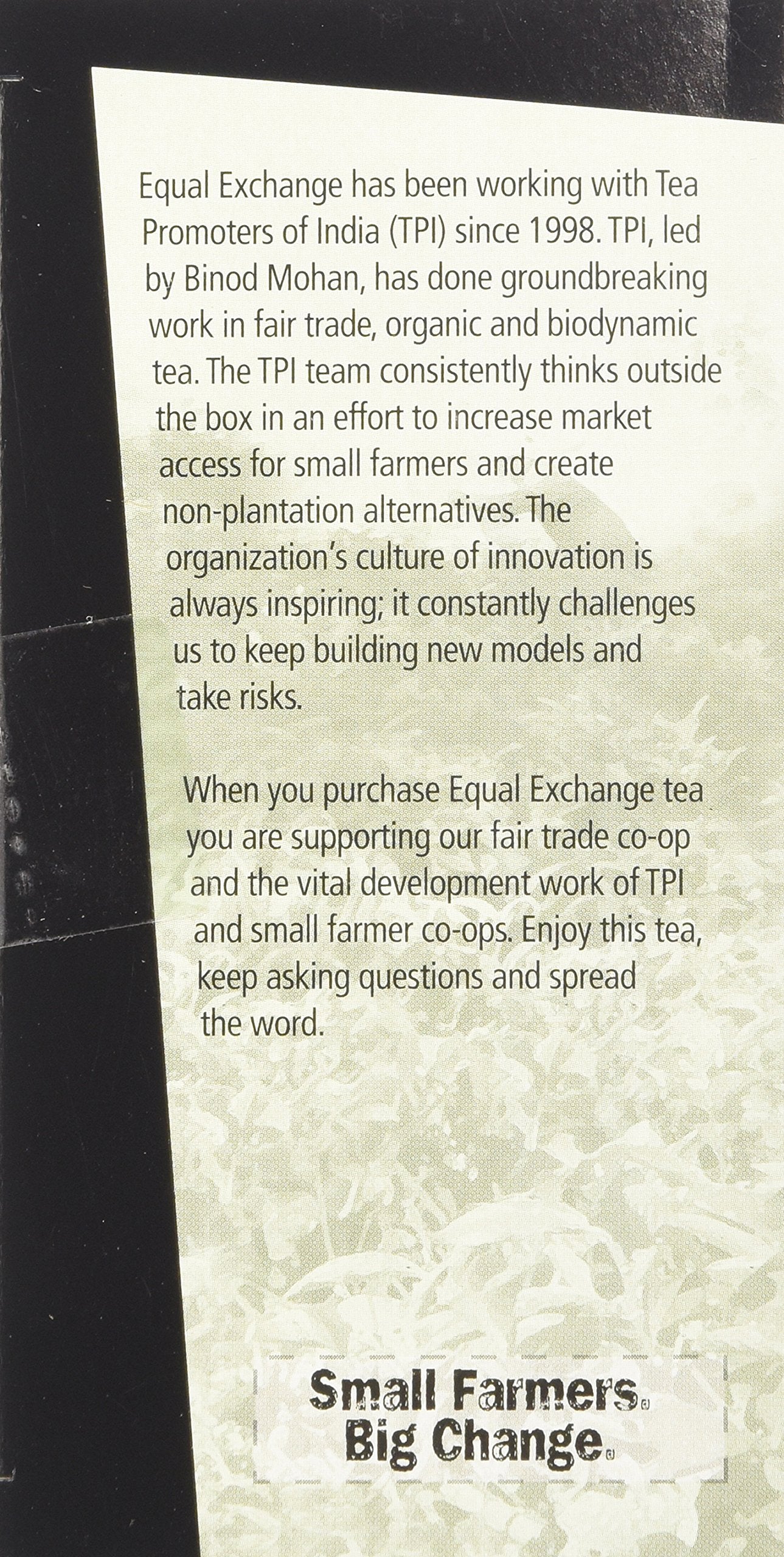 Equal Exchange Organic Green Tea, 20-Count (Pack of 3)