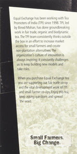 Equal Exchange Organic Green Tea, 20-Count (Pack of 3)