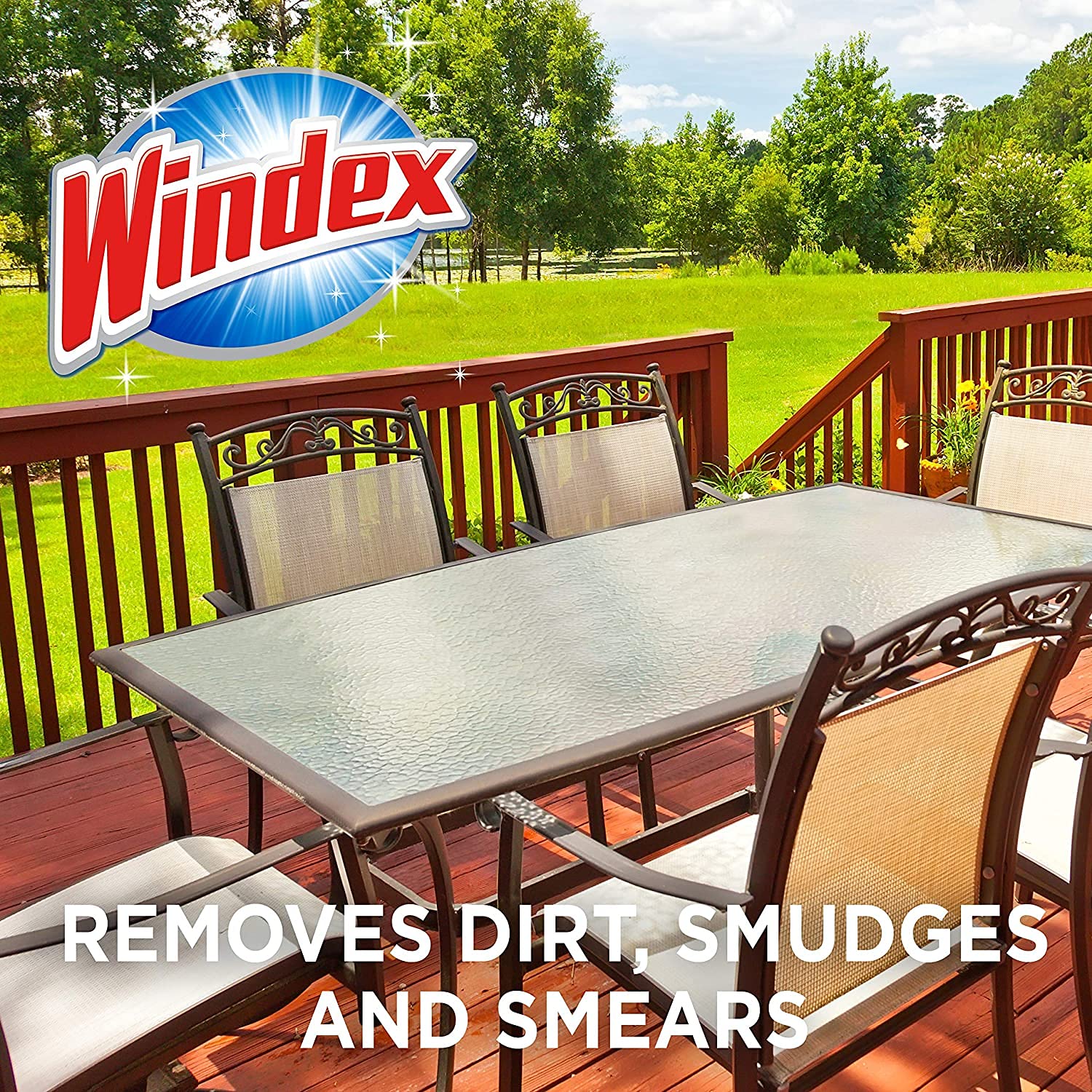 Windex Outdoor Refill Pads 2 Count (2 Count (Pack of 1))