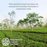 The Republic of Tea - Assam Black Iced Tea, 8 Quart-Sized Iced Tea Pouches, Regenerative Organic Certified