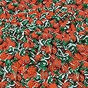 Bulk Bundle Strawberry Hard Candy Filled With Real Fruit Pulp 6 lbs Bon Bons Filled With Real Pulp American Old Fashioned Vintage Candy Individually