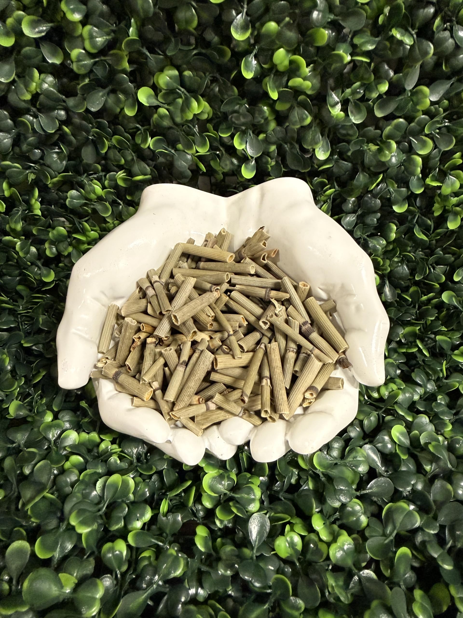 HealinGifts Horsetail Tea (Cola de Caballo/Shavegrass) - 0.5 oz Resealable Kraft Bag - Herbal Loose Leaf Tea