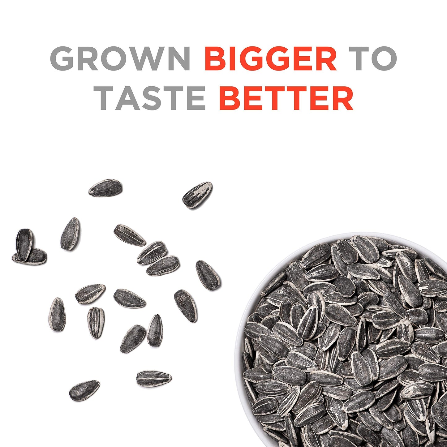 JUMBO SUNFLOWER SEEDS, Ranch, 16-Ounce (Pack of 6)