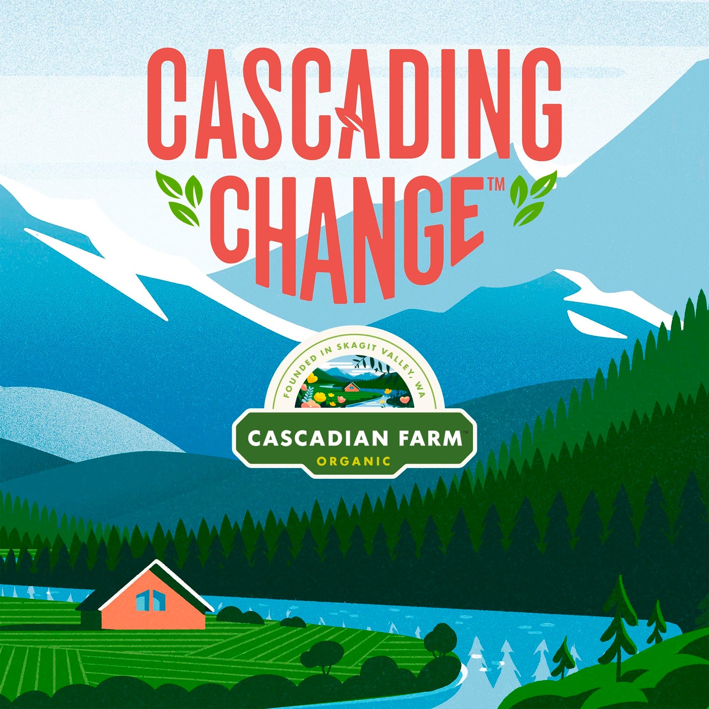 Cascadian Farm Organic Graham Crunch Cereal 9.6 oz Box