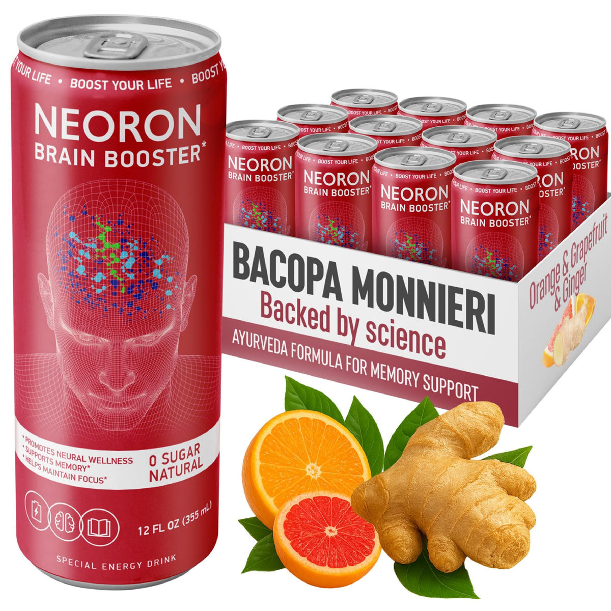 NEORON Focus + Calm | Nootropic Drink for Mental Clarity - Stress & Burnout Support (12-Pack, Ginger Kick, Orange & Grapefruit, Sugar-Free)