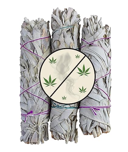 Natural Cannabis Smell Remover - 3 Sage Sticks Gives All-Natural Like Smell Not Suspicious Air Freshener Extreme Odor And Smoke Eliminator