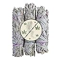 Natural Cannabis Smell Remover - 3 Sage Sticks Gives All-Natural Like Smell Not Suspicious Air Freshener Extreme Odor And Smoke Eliminator