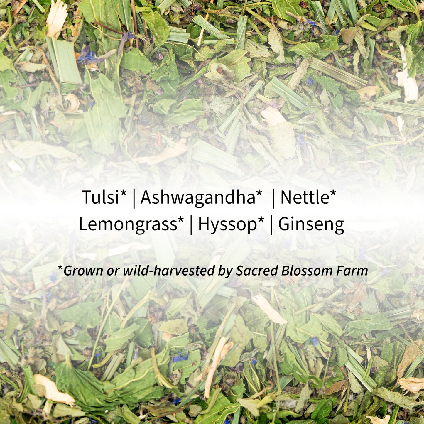 Tiger Herbal Tea | Sacred Blossom Farm | 1.9 oz. Loose Leaf | Energy and Focus* | Minimally Processed Wisconsin-Grown Herbal Tea & Medicinal Herbs |