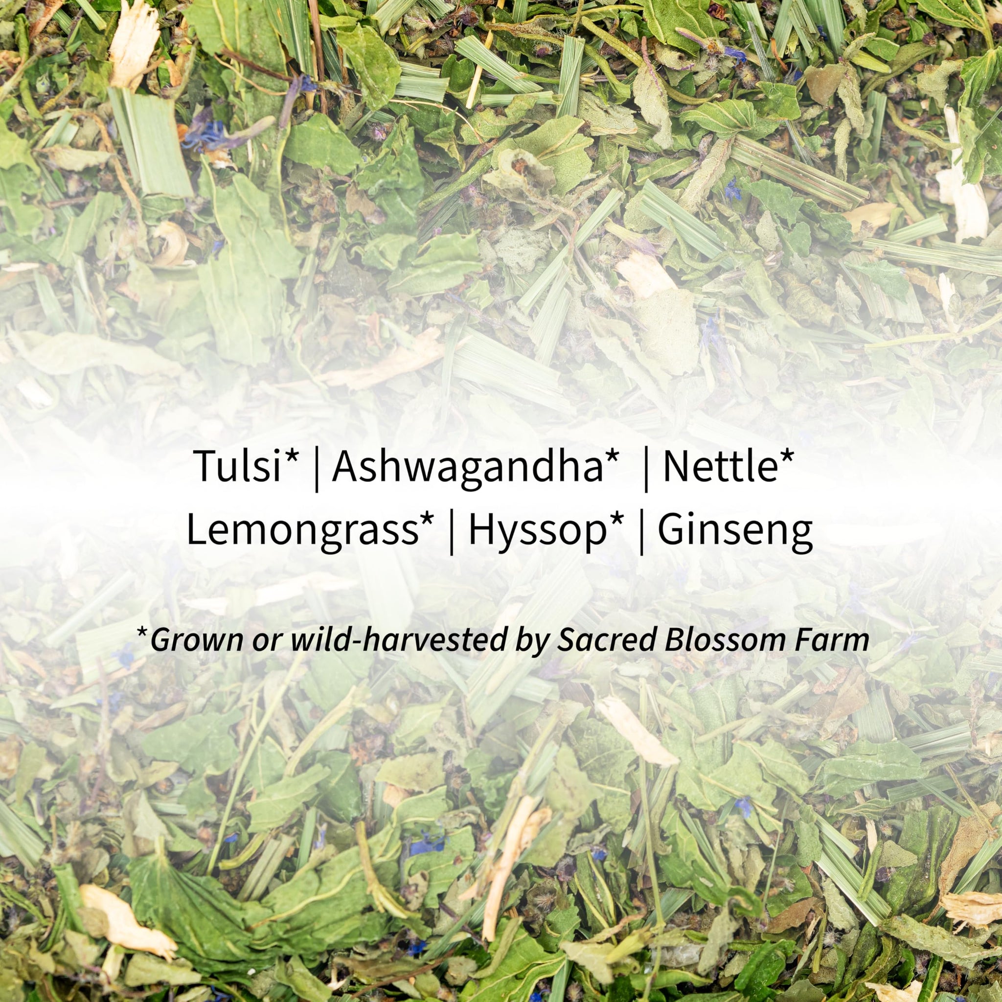 Tiger Herbal Tea | Sacred Blossom Farm | 1.9 oz. Loose Leaf | Energy and Focus* | Minimally Processed Wisconsin-Grown Herbal Tea & Medicinal Herbs |