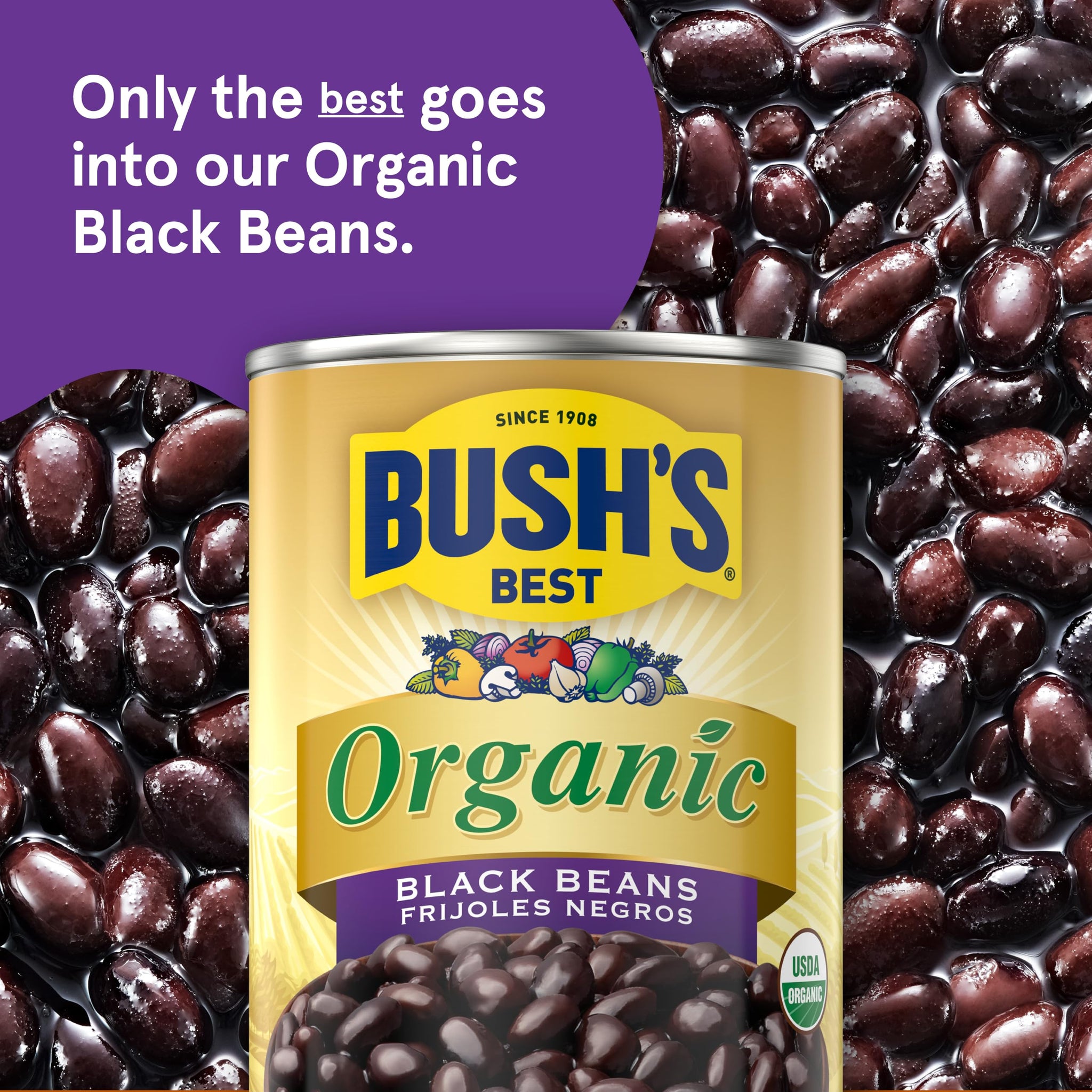 Bush's Canned Organic Black Beans (Pack of 1), Good Source of Plant-Based Protein, Good Source of Fiber, Fat Free, Gluten Free, Low Sodium, 15 oz