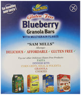 Sam Mills Gluten Free Granola Bars, Blueberry, 5 Count ( 1 oz Bars )
