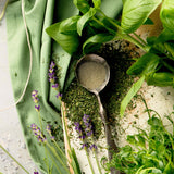 Birch & Meadow Ground Marjoram, 3.5 oz, Sweet & Savory Herb, French & Italian Cuisine