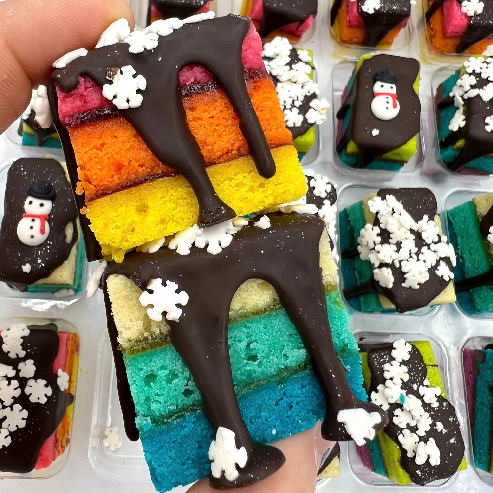 Zola Bakes Winter Assorted Rainbow Cookies