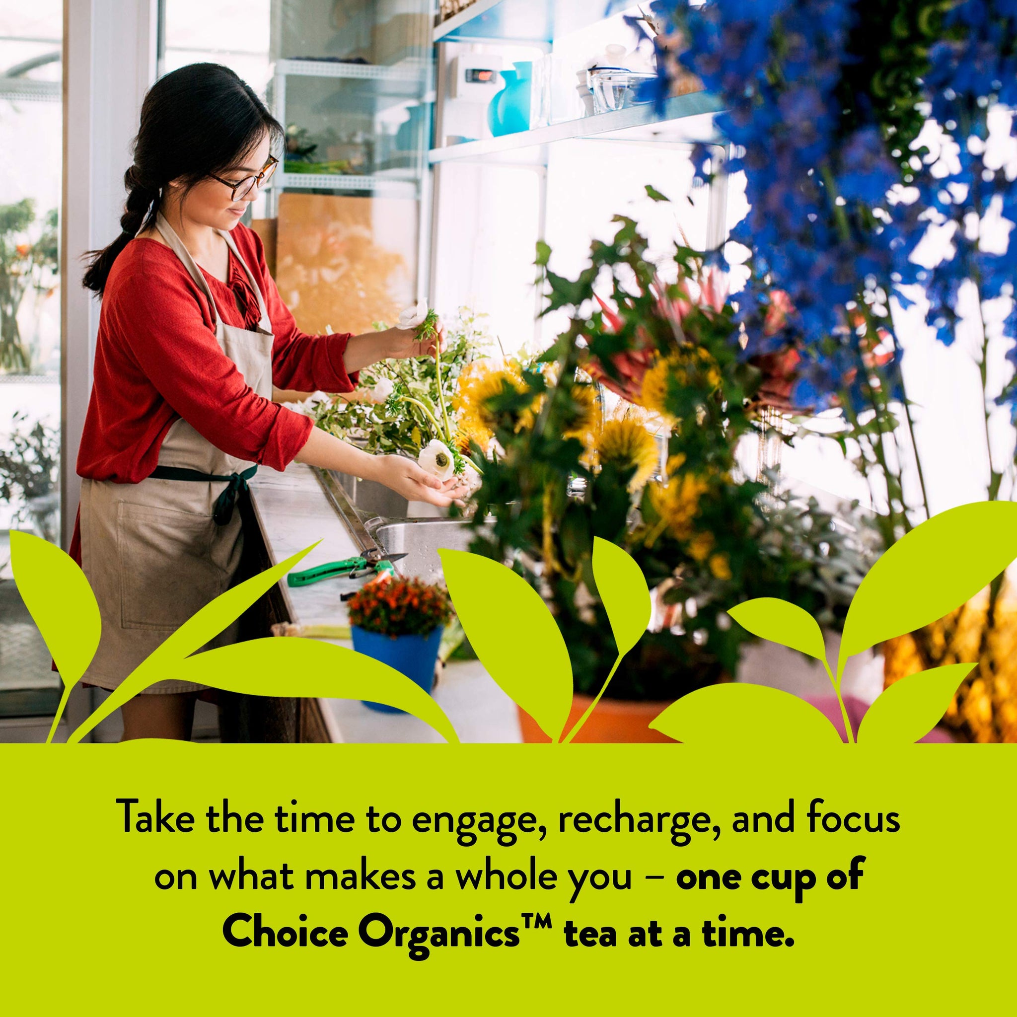 Choice Organic Teas Jasmine Green Tea - Green Tea Scented with Jasmine Blossoms - Fair Trade - Compostable - Contains Caffeine - 48 Organic Green Tea