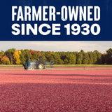 Ocean Spray® Craisins®, 50% Less Sugar Dried Cranberries, Dried Fruit, 5 Oz Pouch