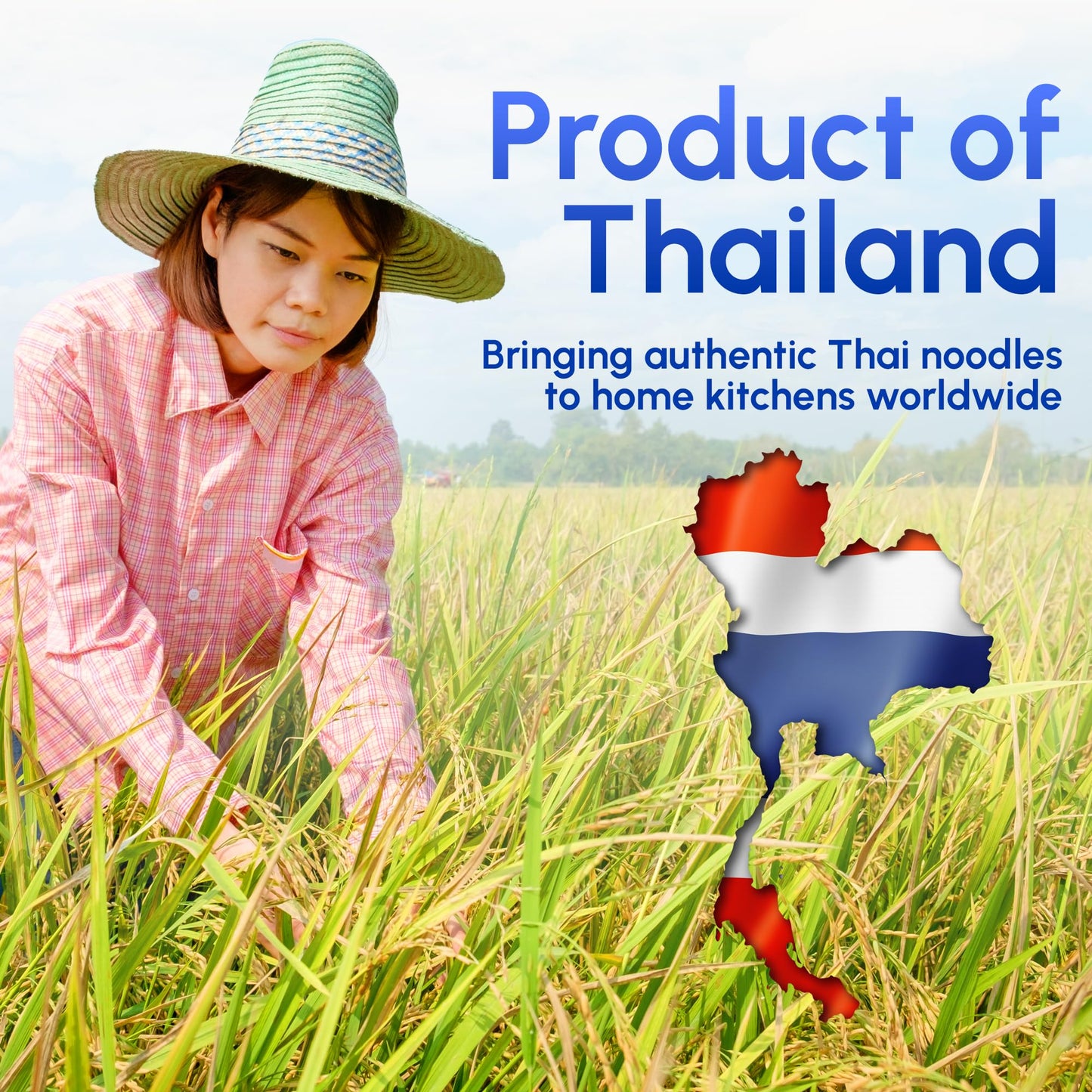 Thai Rice Stick Noodles (XL-10mm, Pack of 1)