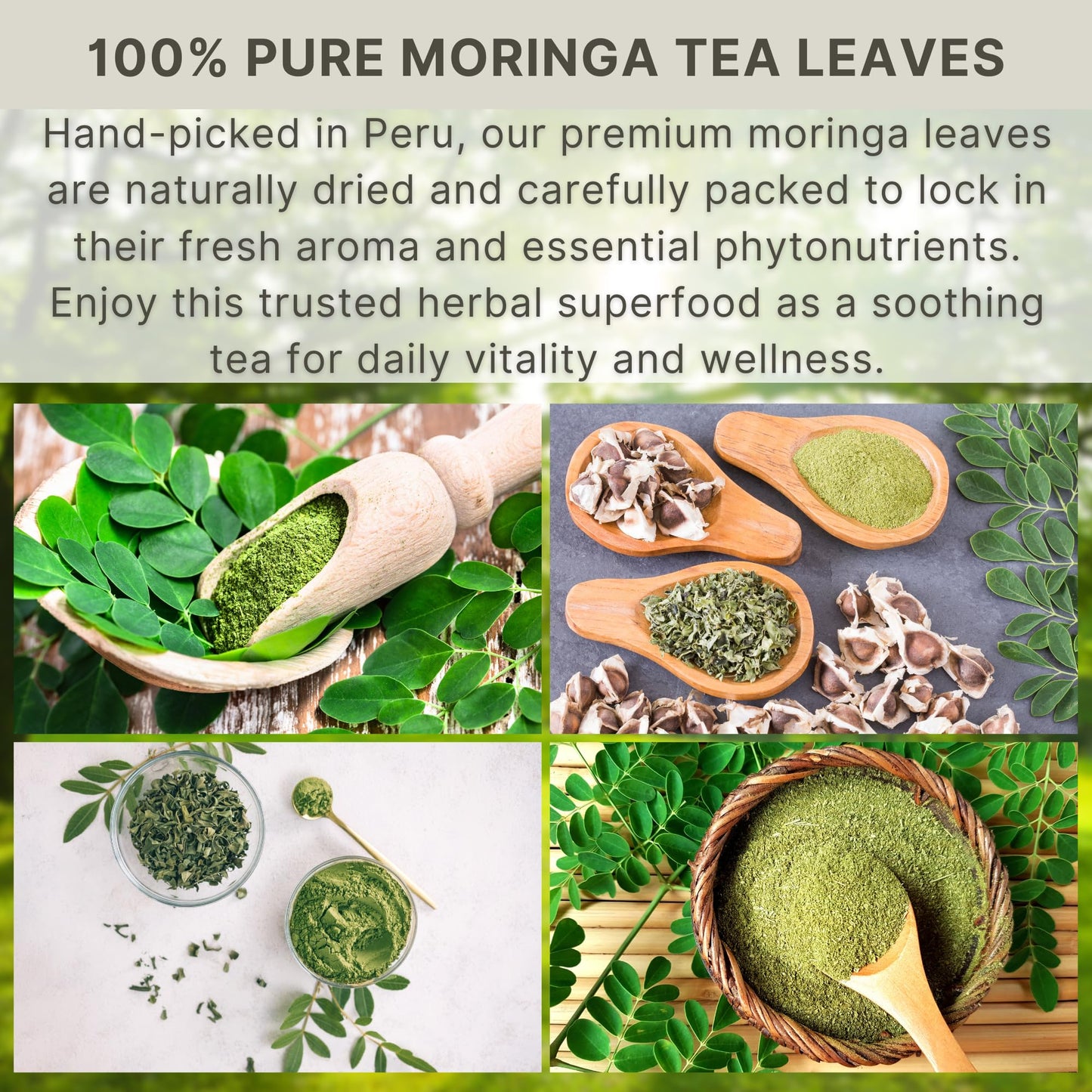 Hanan Moringa Tea Bags - Energy & Immunity Boost, Superfood Herbal, Caffeine-Free, Eco-Conscious 25-Count Resealable Pack