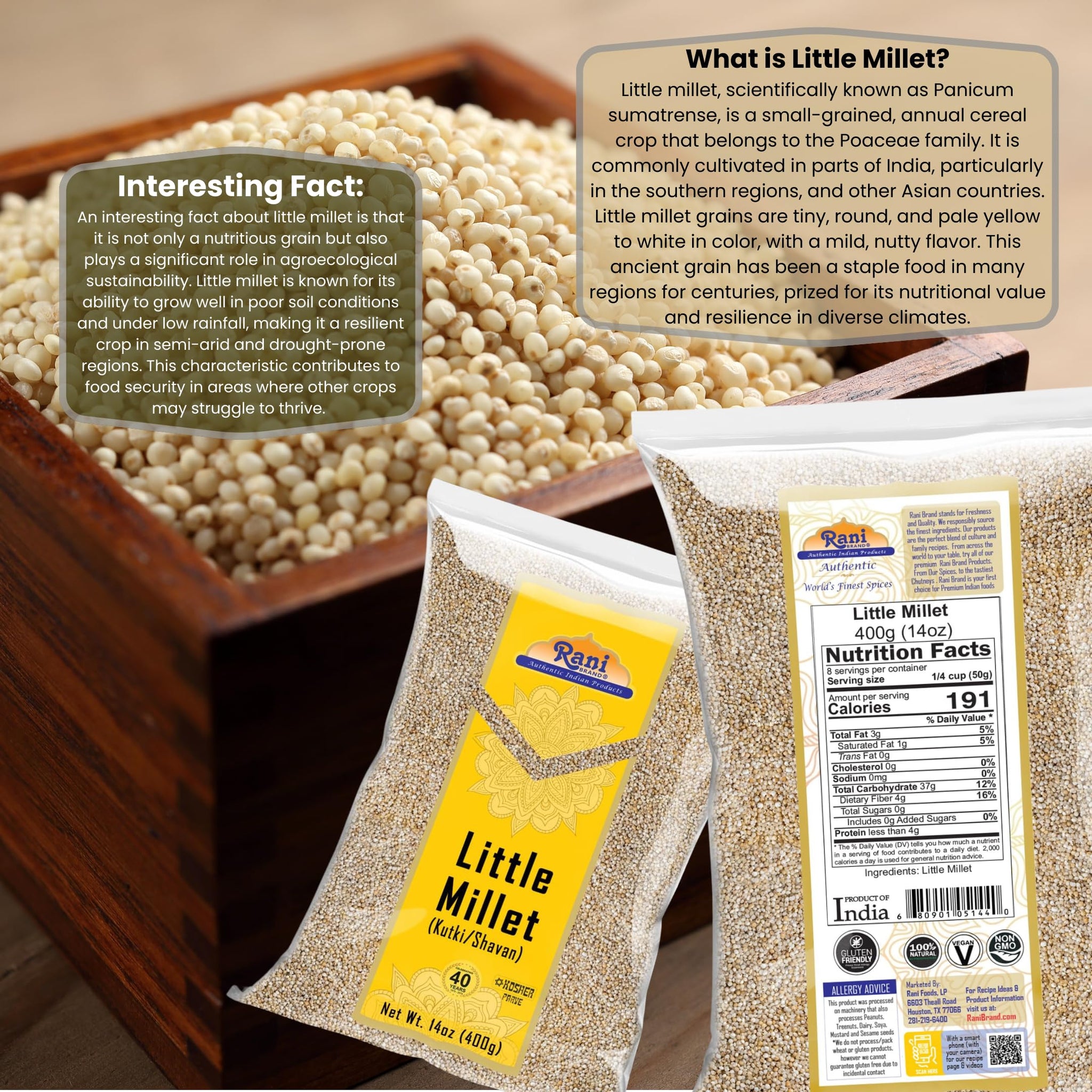 Rani Little Millet (Panicum Sumatrense) Whole Ancient Grain Seeds 14oz (400g) ~ All Natural | Gluten Friendly | NON-GMO | Kosher | Vegan | Indian Origin | Kutki/Shavan/Saamai/Sama Kannada
