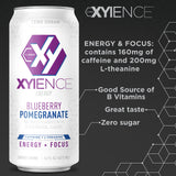 Xyience Blueberry Pomegranate Energy Drink, 16 fl oz can (Pack of 12)