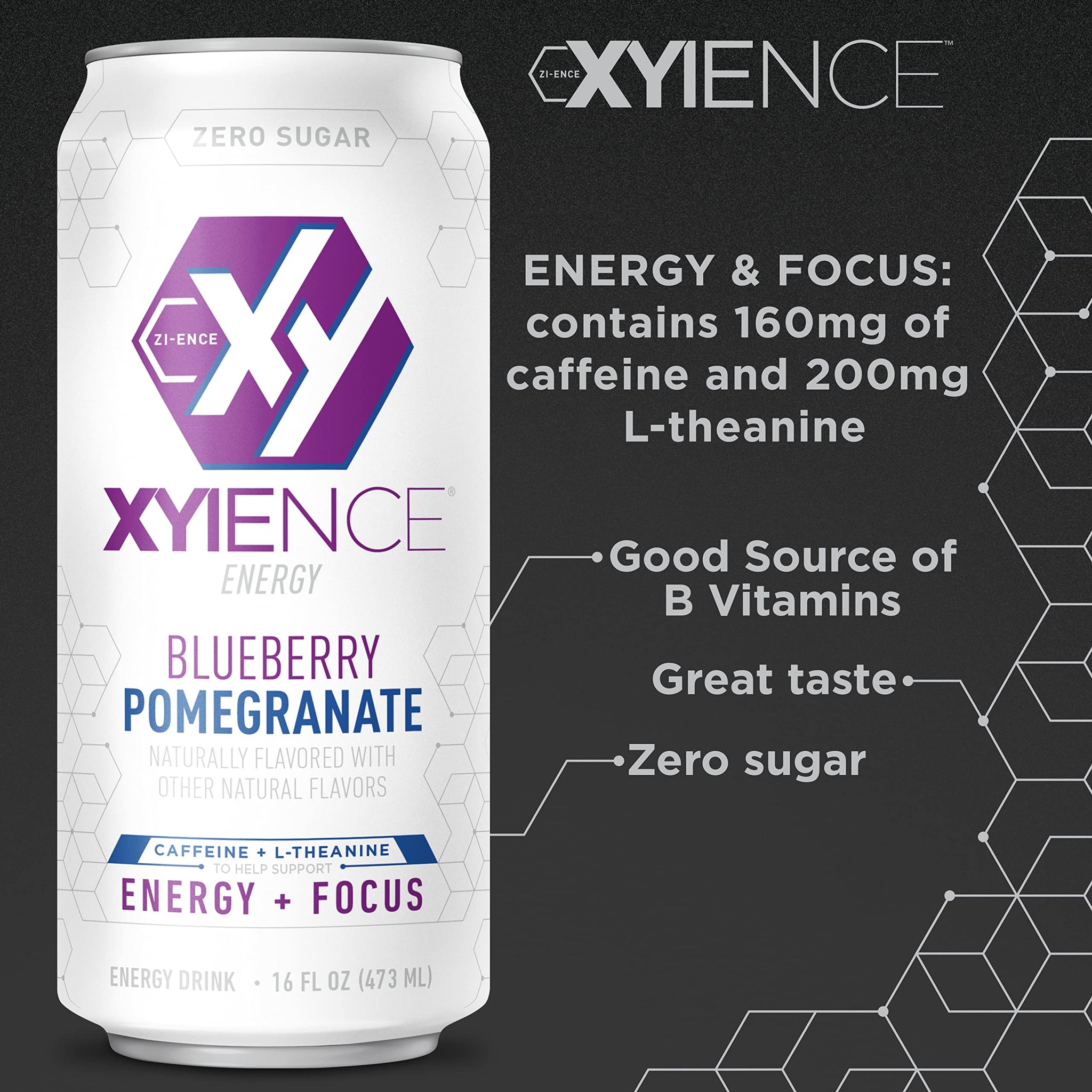 Xyience Blueberry Pomegranate Energy Drink, 16 fl oz can (Pack of 12)