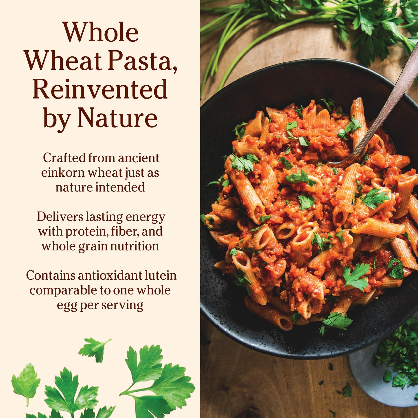 Jovial Einkorn 100% Organic Whole Grain Penne Rigate - Einkorn Pasta, High Protein, Non-GMO, USDA Certified Organic, Lower Carb, Delicious Pasta Made