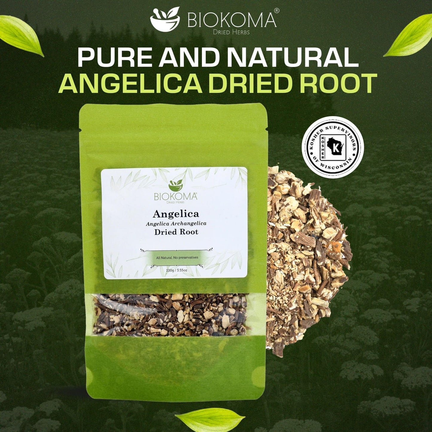 Biokoma Angelica Dried Root 100g 3.55oz Loose Herb Dong Quai Angelica Archangelica Herbal Tea Digestive Respiratory Support Women’s Health Resealable